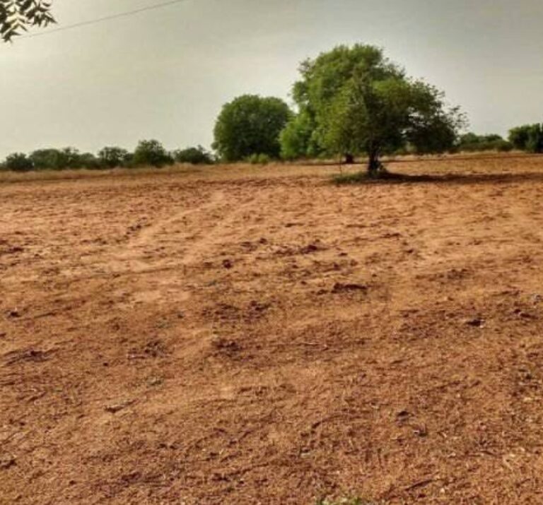 land